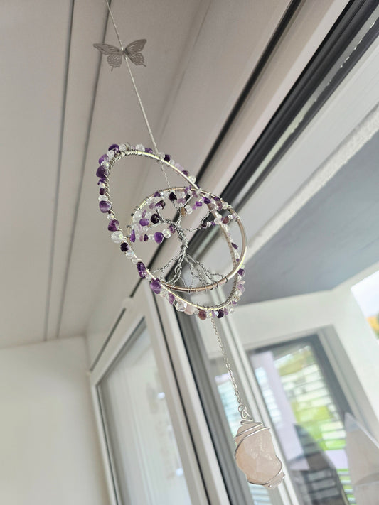 Viola / Sonnenfänger