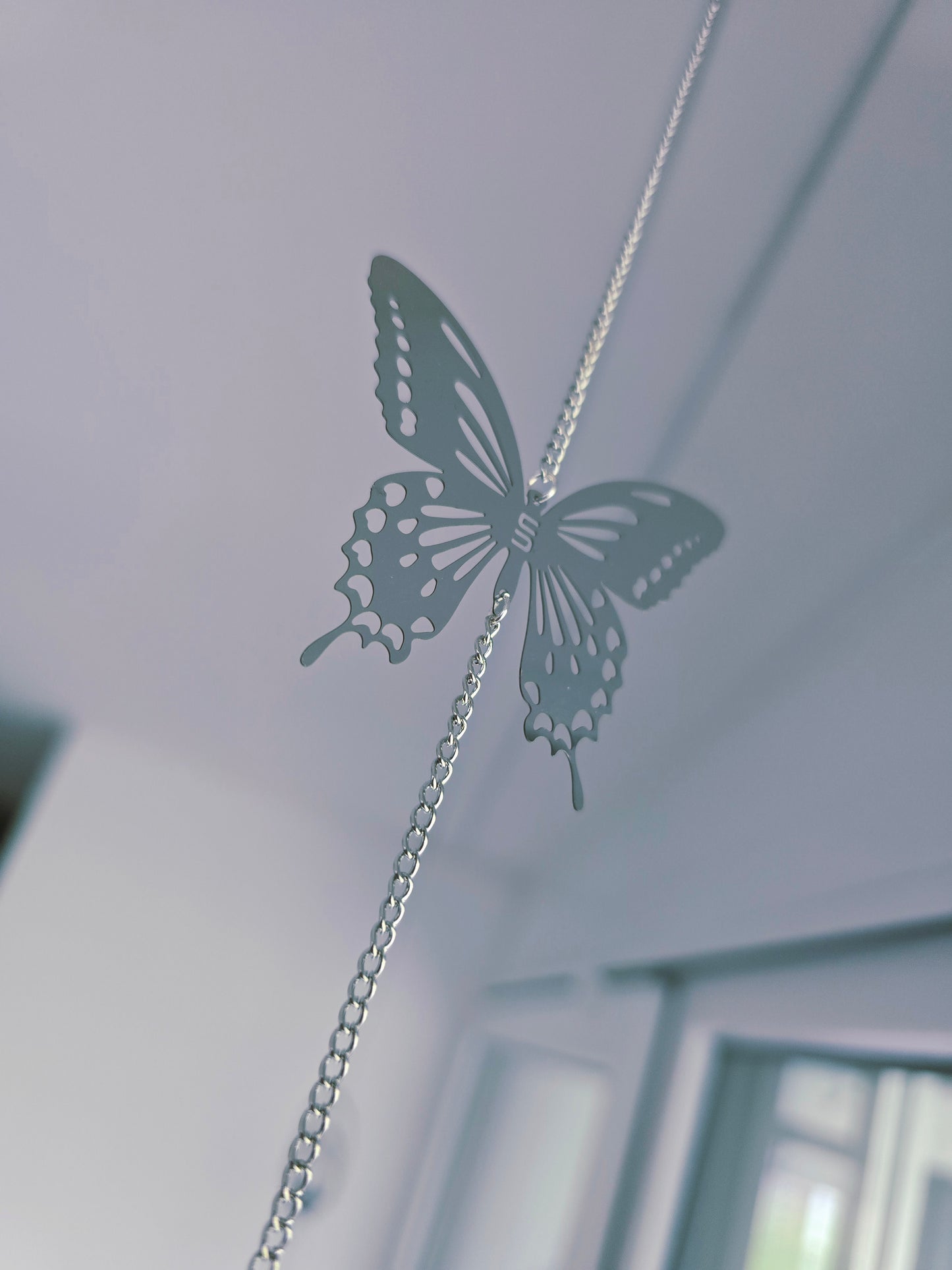 Viola / Sonnenfänger