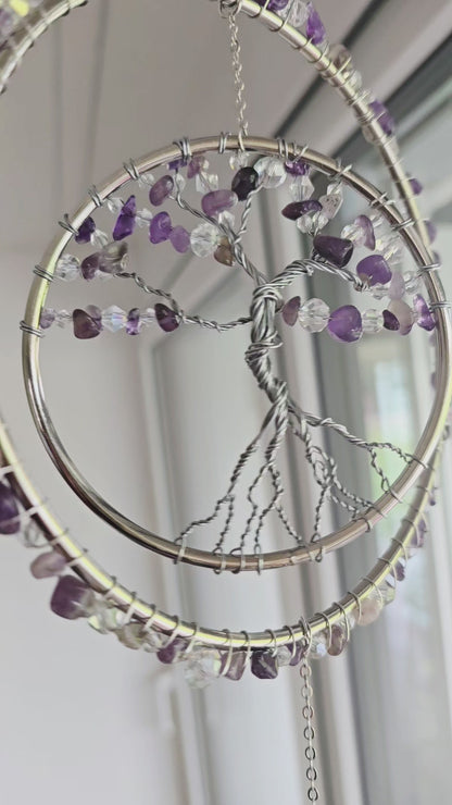 Viola / Sonnenfänger